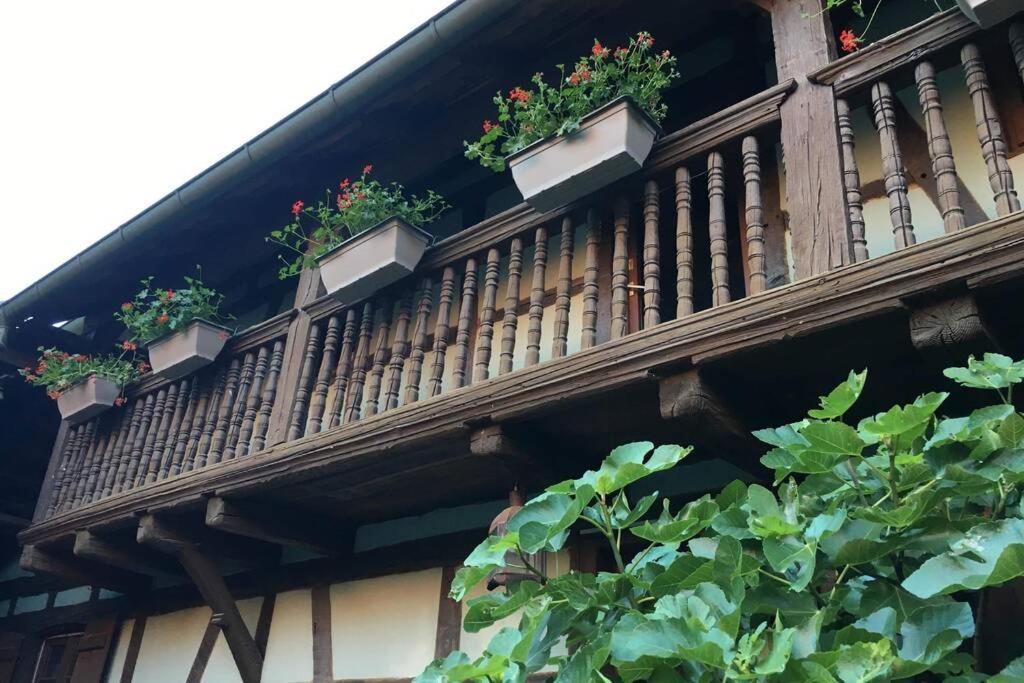 Gite Alsacien Eckwersheim Экстерьер фото